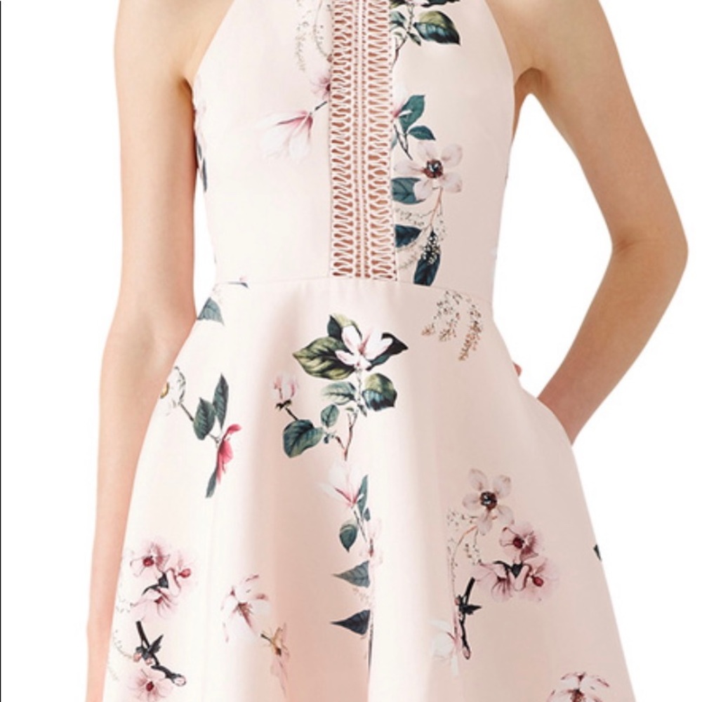 Keepsake Spring Dress - Picture 2 of 5